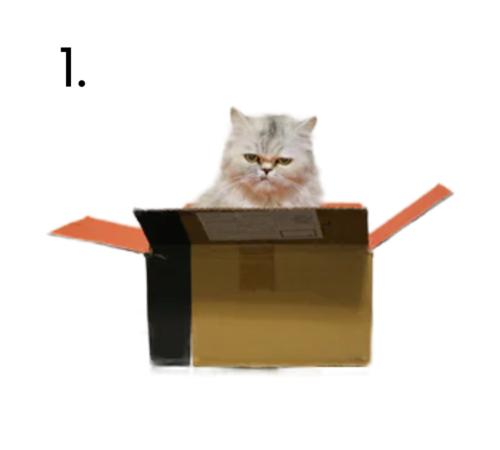 Prezent dla kota - pudełko
